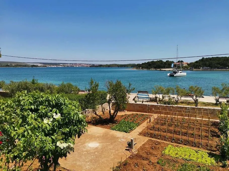 Apartment Dragica P A1 Pasman Croatia