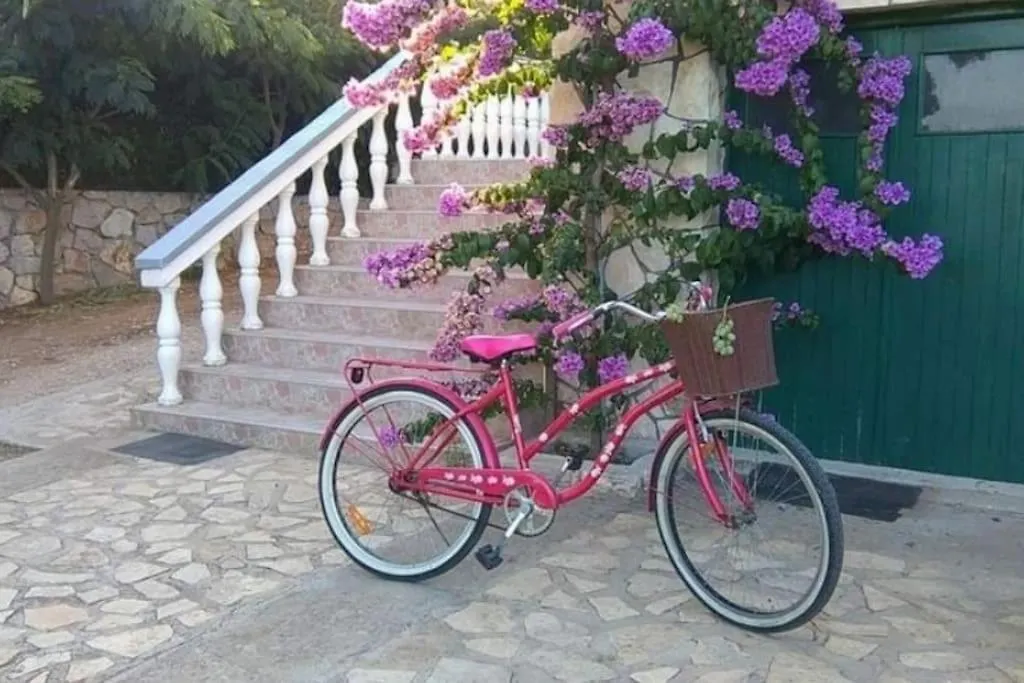 Apartment Dragica P A1 Pasman